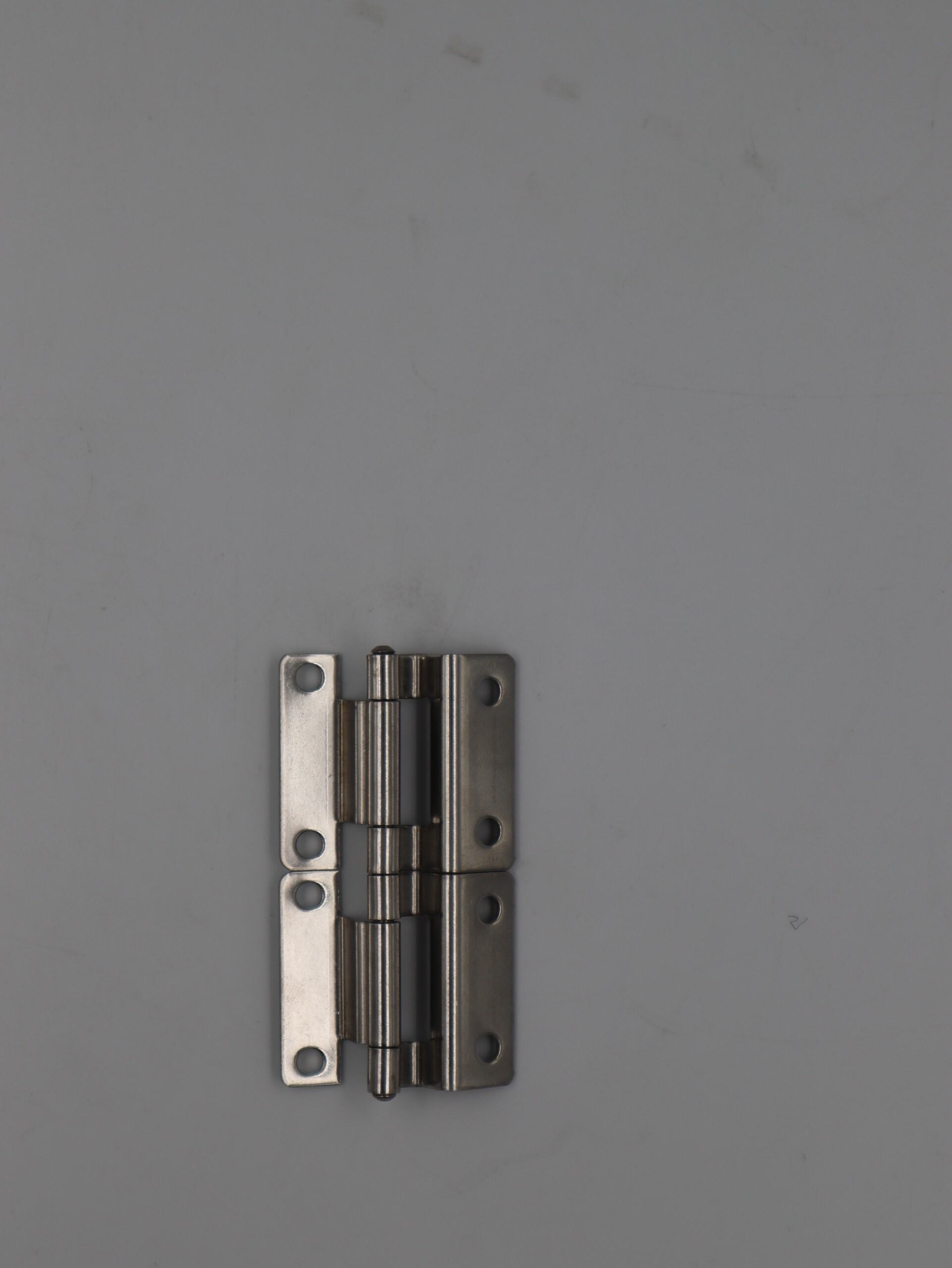 DOOR HINGE DOUBLE CAMPER 2011